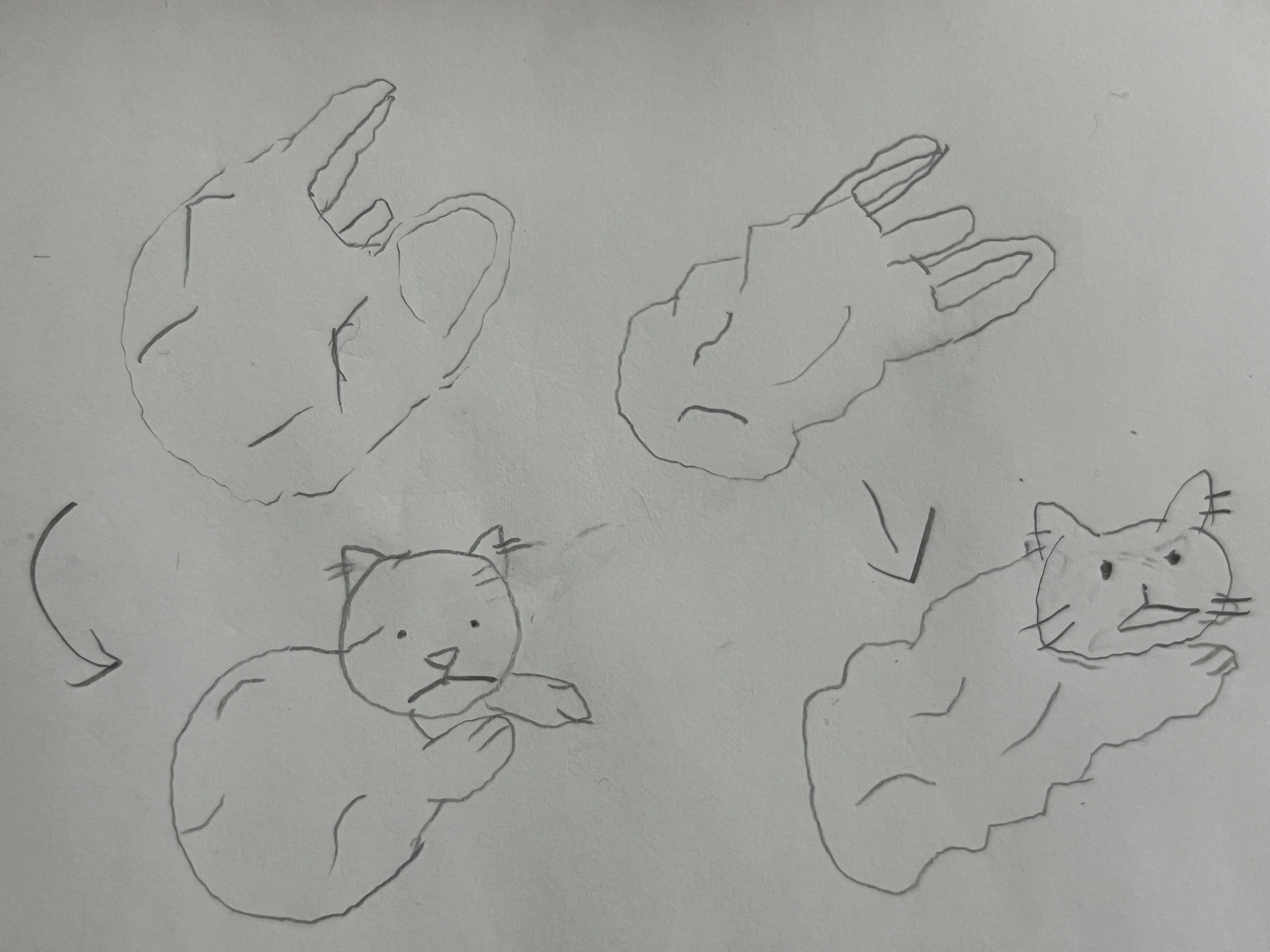 描いたネコの絵